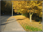 foto Parco Wilhelmshöhe in Autunno